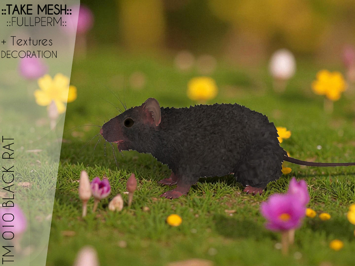 ! TakeMesh - TM 010 BLACK RAT