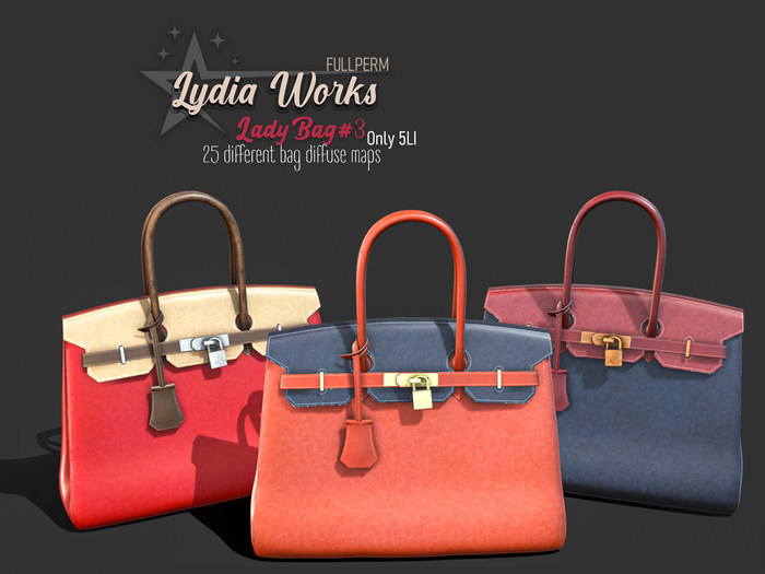 Lydia Works Full Permission Lady Bag#3