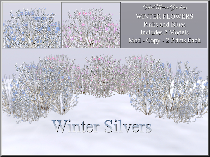 Winter Flowers