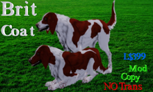 Rose Work Brittney coat appliers