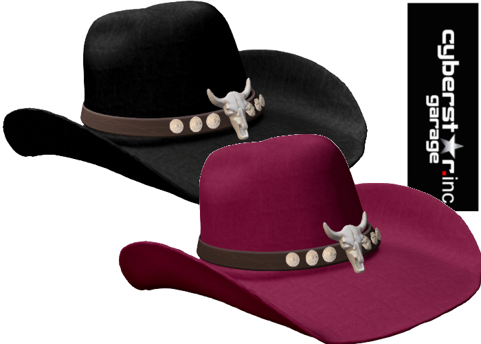[ CG inc ] - Cowboy Hat 