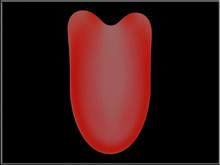 T-3D Creations [ Simple Tongue ] Mesh - Full Perm