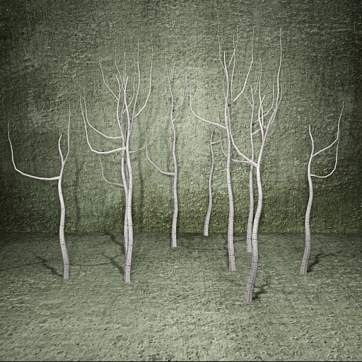 Cica's 9 bare birch trees