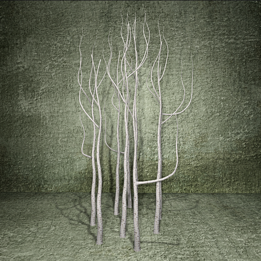 Cica's 9 bare birch trees b