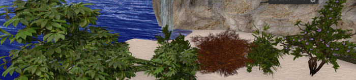 BUSH PACKAGE LANDSCAPE