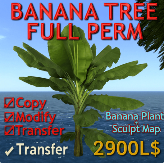 Banana Tree FULL PERM