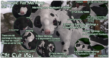Domestic Rat Markings Set - A - MOD