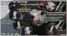 Domestic Rat Markings Set - B - MOD
