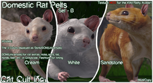 Domestic Rat Pelts Set - B - MODs