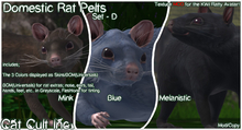 Domestic Rat Pelts Set - D - MODs