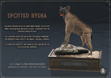 Dirty Rat - Spotted Hyena