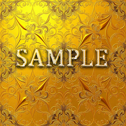 [ Professional Gold 01 ] D