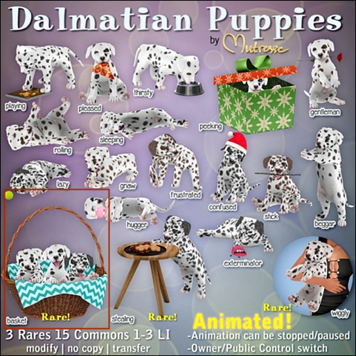 17-Mutresse-Stealing-Dalmatian Puppies RARE