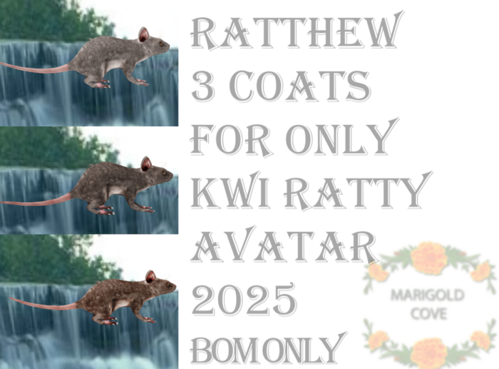 [MC] Ratthew 3 Coats for KWI RATTY 2025  AVATAR