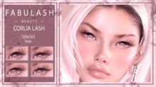 FABULASH - CORLIA LASH - EVO X