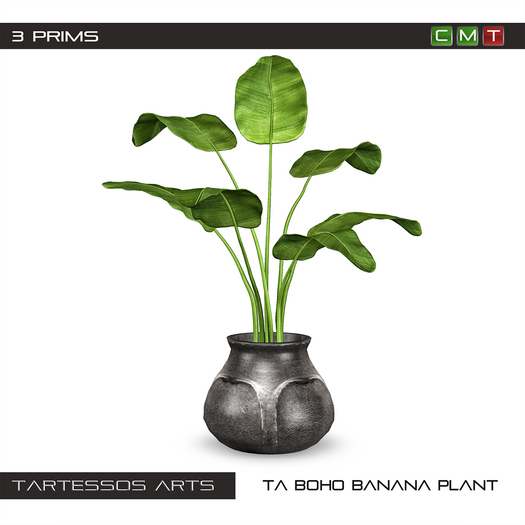 ::TA Boho Banana Plant 