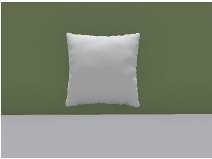 Tiger -> Pillow ( Full Perm)