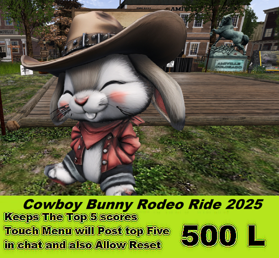 Cowboy Bunny Rodeo Ride 2025