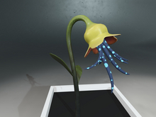 Yellow Bell Flower 