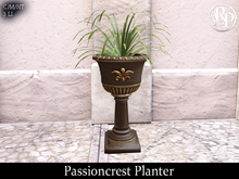 (RP) Passioncrest Planter