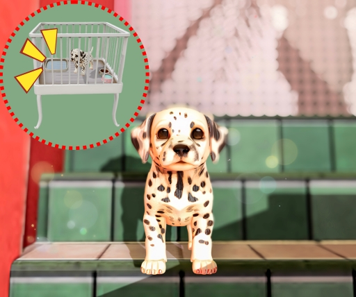 G+:DOG_Dalmatian[BOX]