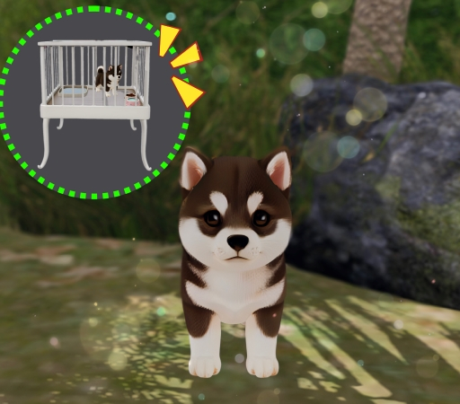 G+:DOG_KuroShiba[BOX]