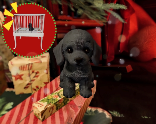 G+:DOG_PoodleBL[BOX]