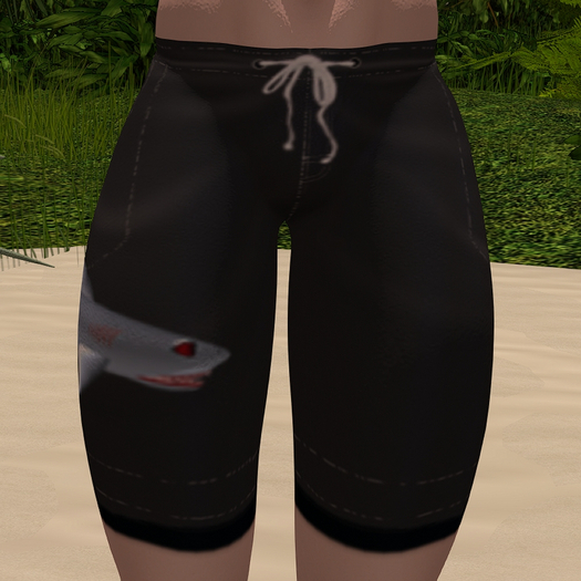 (7S) Common Stuff: Shark Swim Trunks Box