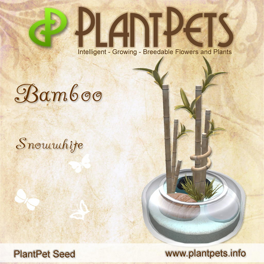 PlantPet Seed [Bamboo *Snowwhite*]