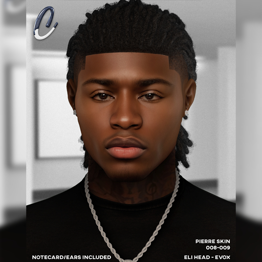 Canvas / Pierre Skin / Pack