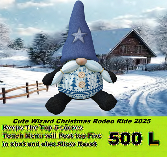 Cute Wizard Rodeo Ride 2025
