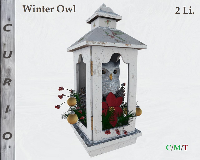Winter Snow Owl