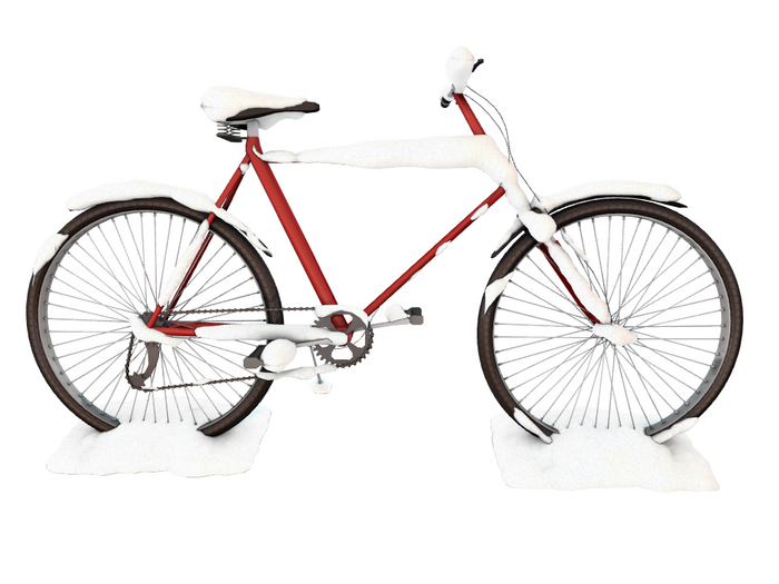 10 MI Winter Cycle (4LI)