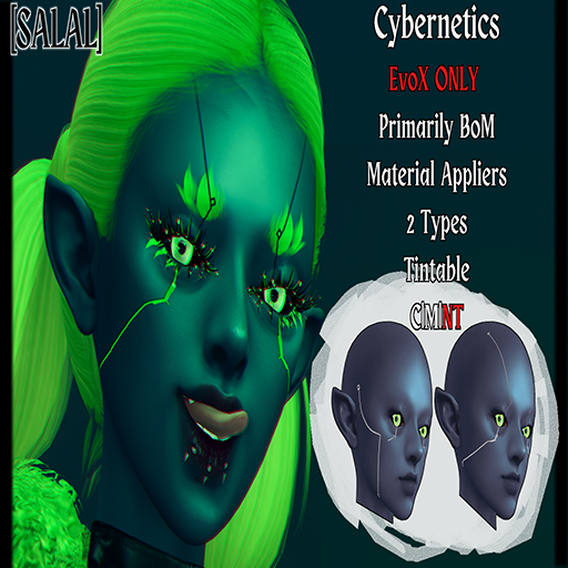 [Salal] Cybernetics