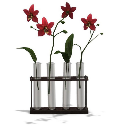 NOMAD // Test Tube Orchid Red