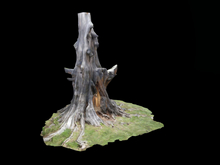Full Perm Scanned Carved Tree Stump