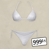Silver Bikini - The Ultimate Summer Swimwear