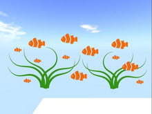 Clown Fish School & Seaweed Colorful Wall Decal – Full Perm