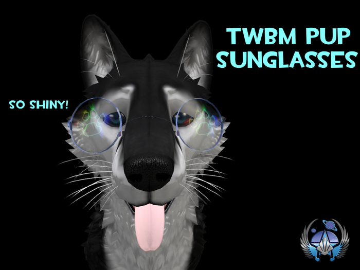 TWBM Pup Sunglasses
