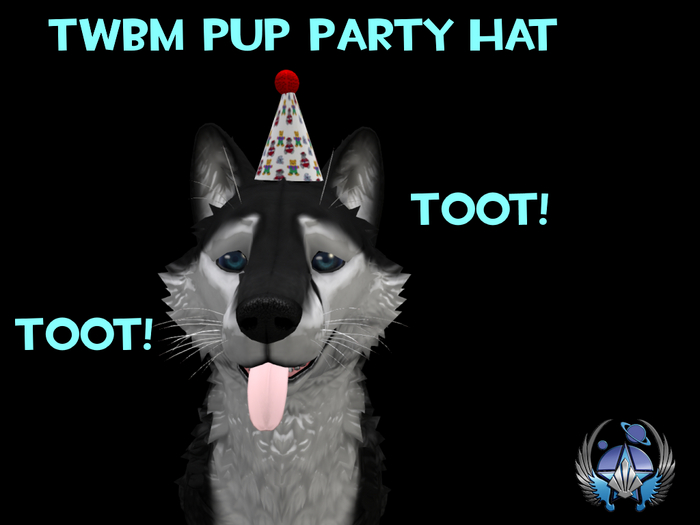 TWBM Pup Party Hat