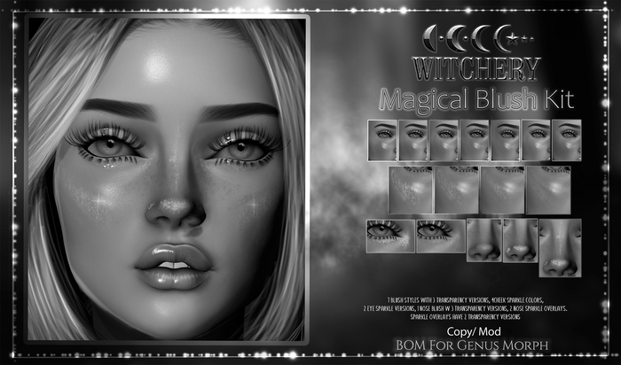 Witchery-Magical Blush Kit DEMO