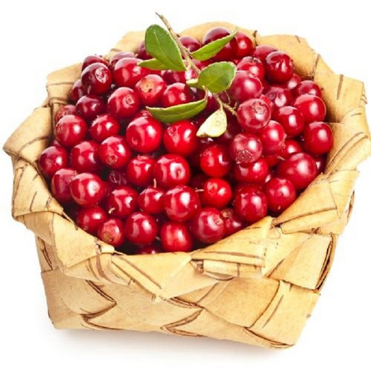 DFS Cranberry Basket