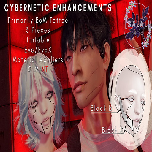 [Salal] Cybernetic Enchancements