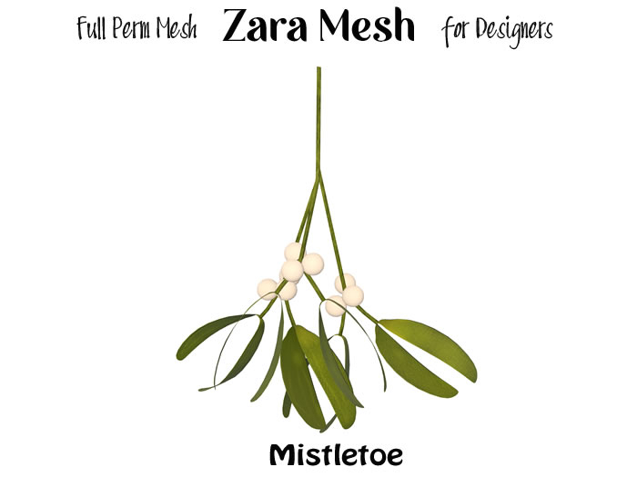 Christmas Mistletoe 