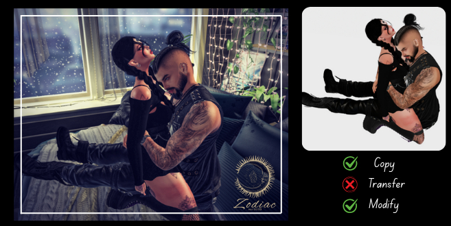 [-Zodiac-] Couple 3