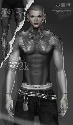 # Miss Black -  Taurus [MALE]