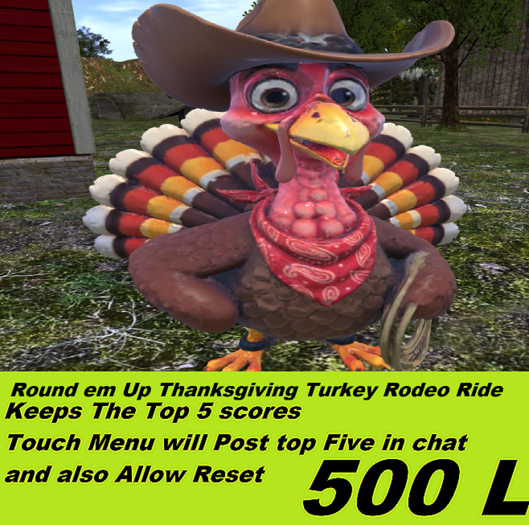 Round em Up Thanksgiving Turkey Rodeo Ride 2025