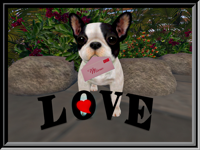 Love Pup Proposal Messenger - Copy