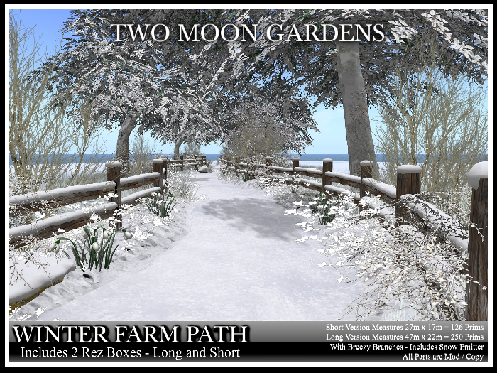 Winter Farm Path