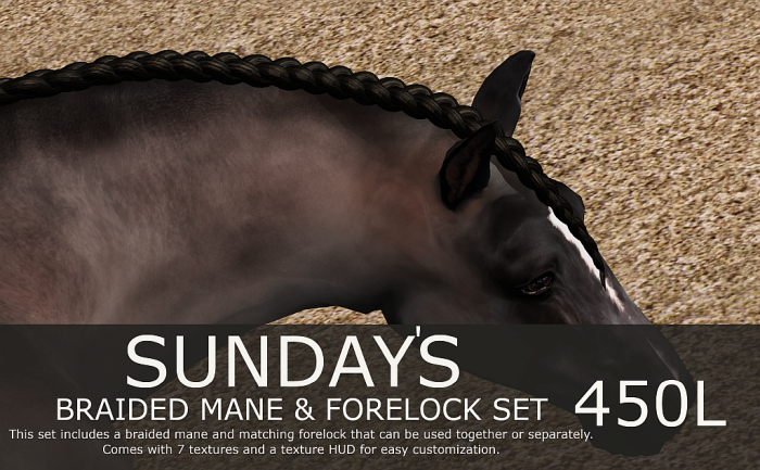 SundayS / Braid / Shetland